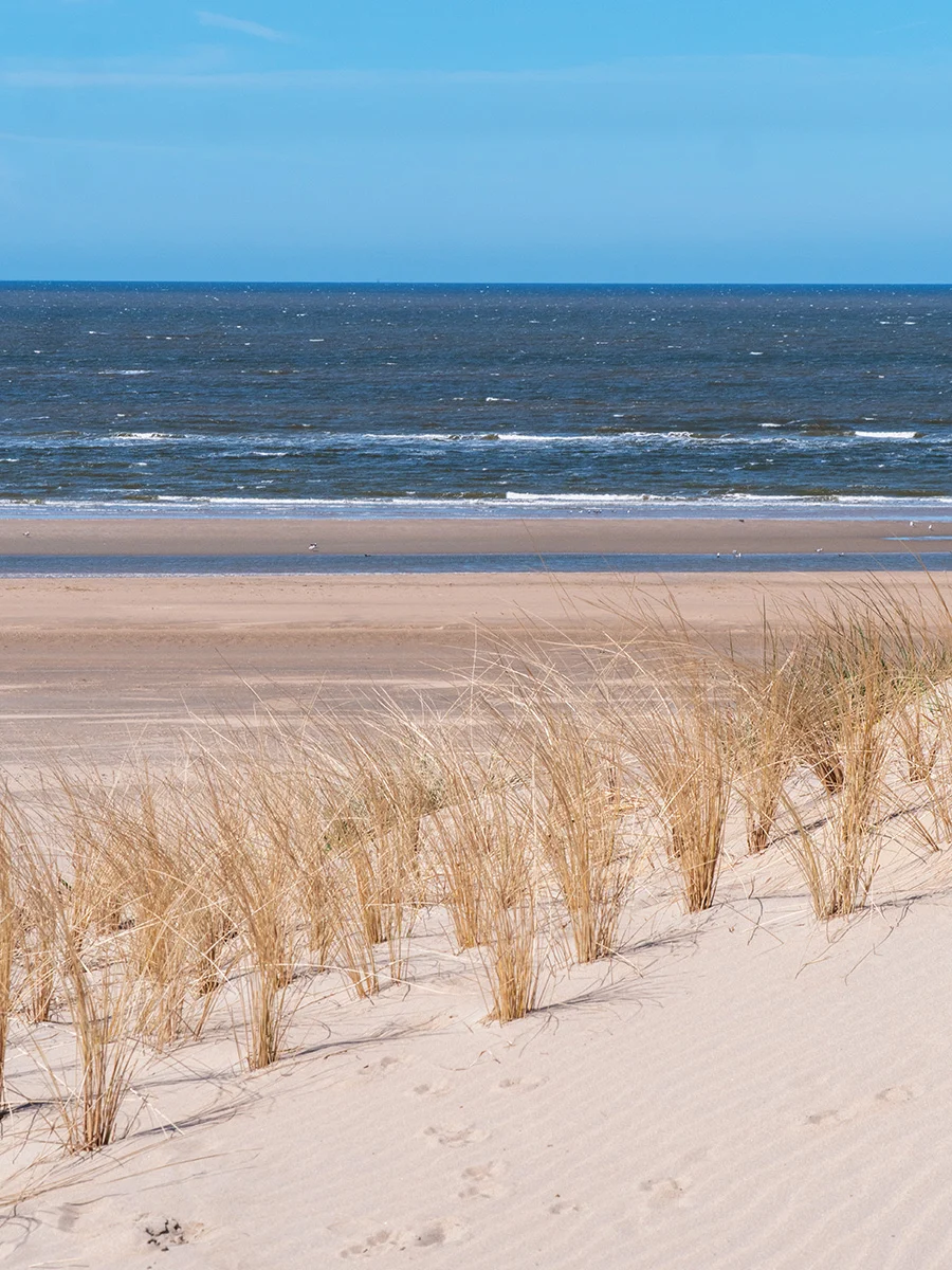 Bloemendaal beach and the North Sea coastline